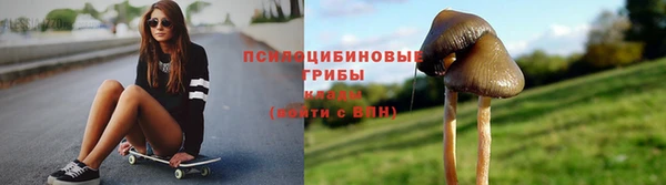 a pvp Инсар
