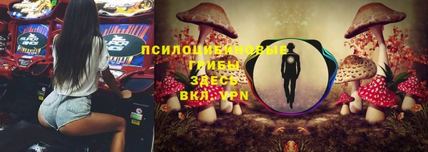 a pvp Инсар