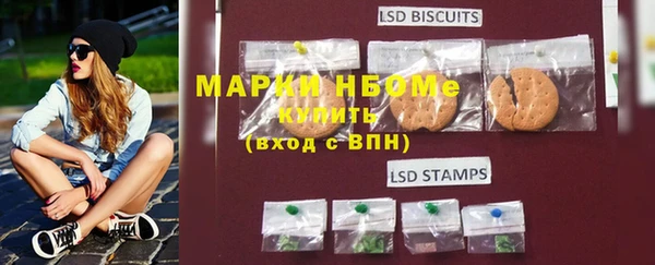 a pvp Инсар